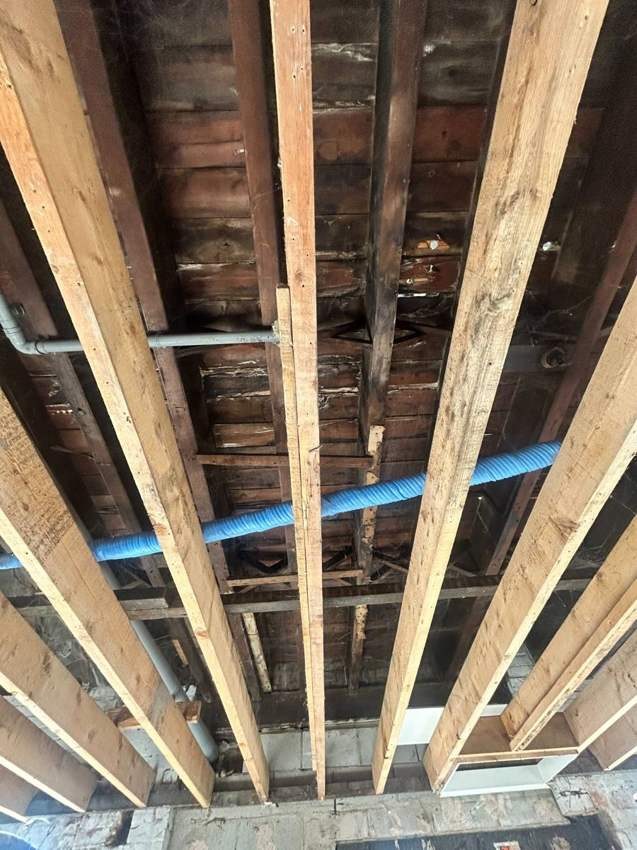 6 Franchise Street Development